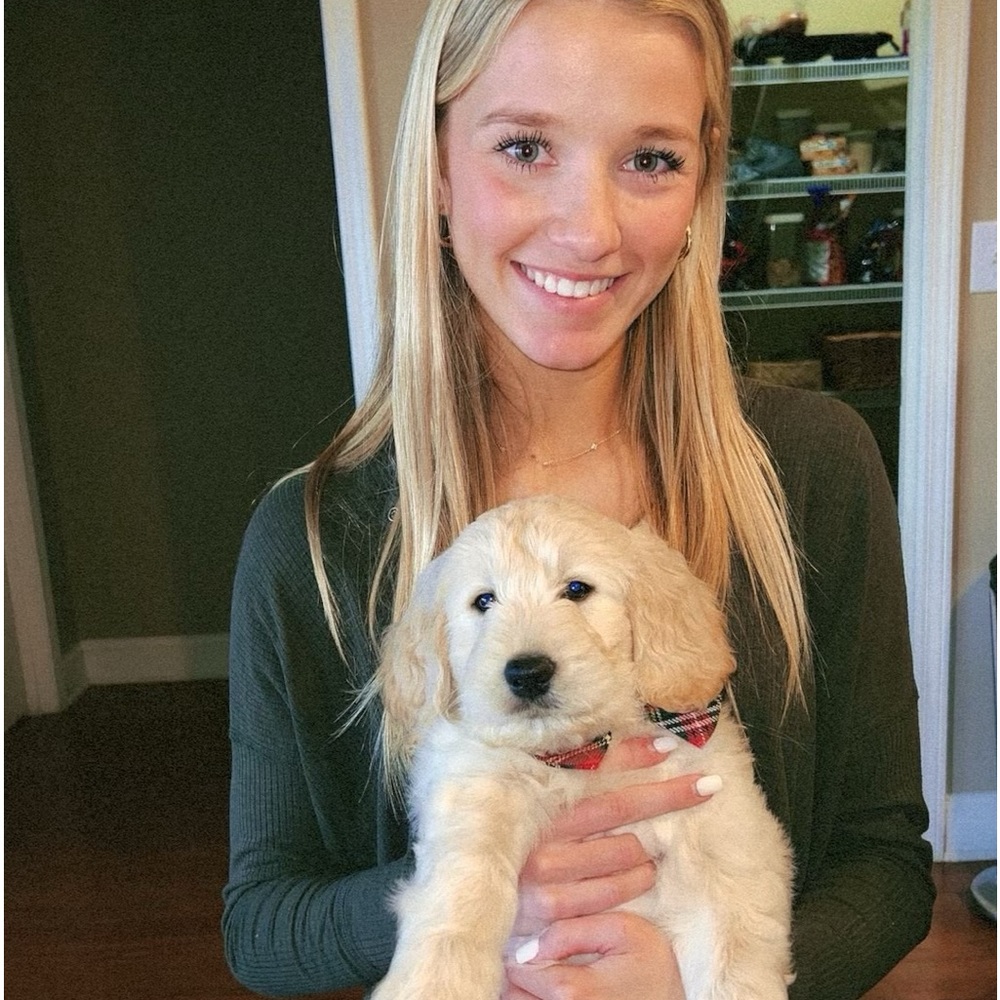 Meet your Posher, Mallory